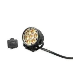 Lupine Betty R Cabeza De Lámpara