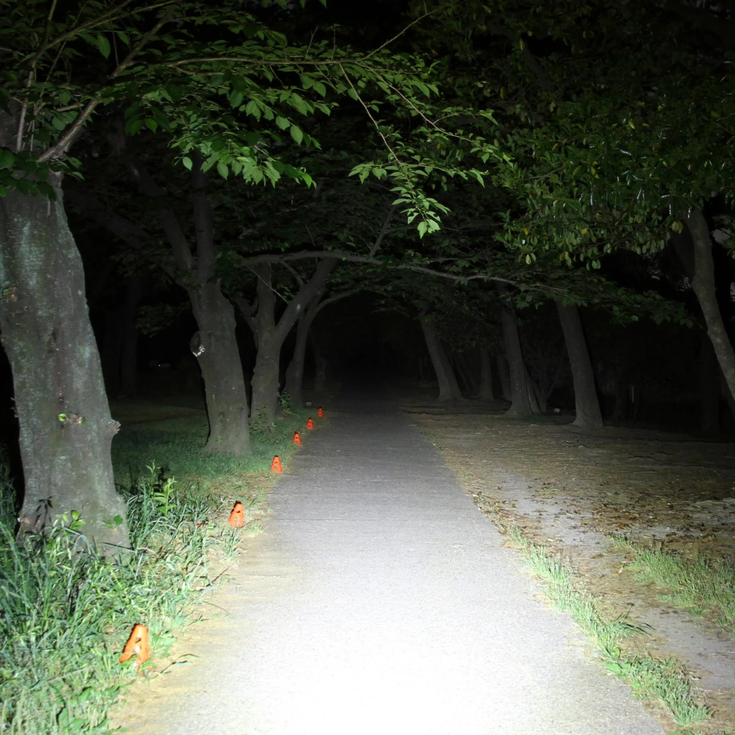 Cateye Cat Eye AMPP 500 Luz De Casco HL-EL085RC 4 Cateye Cat Eye AMPP 500 Luz De Casco HL-EL085RC - Imagen 2