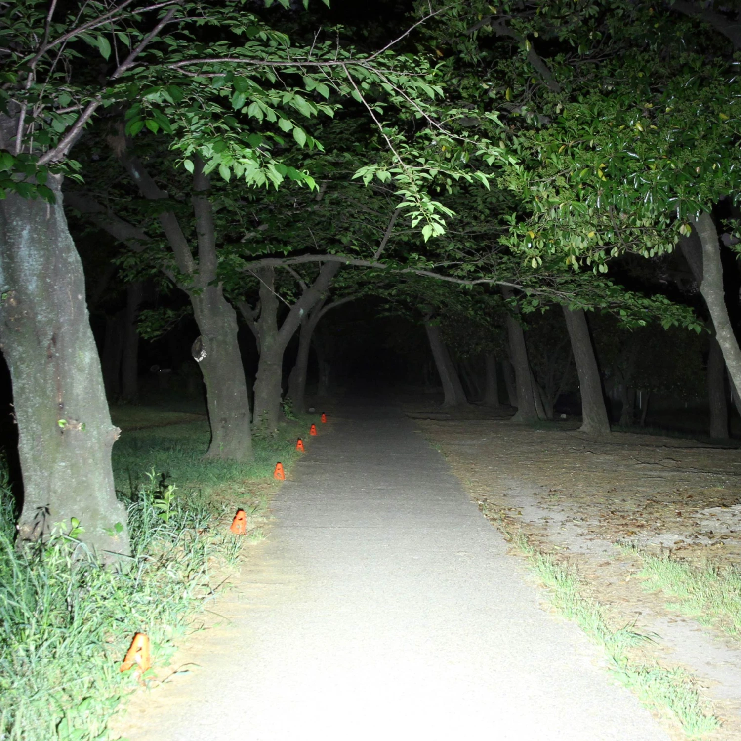 Cateye Cat Eye AMPP 800 Luz De Casco HL-EL088RC 4 Cateye Cat Eye AMPP 800 Luz De Casco HL-EL088RC - Imagen 2